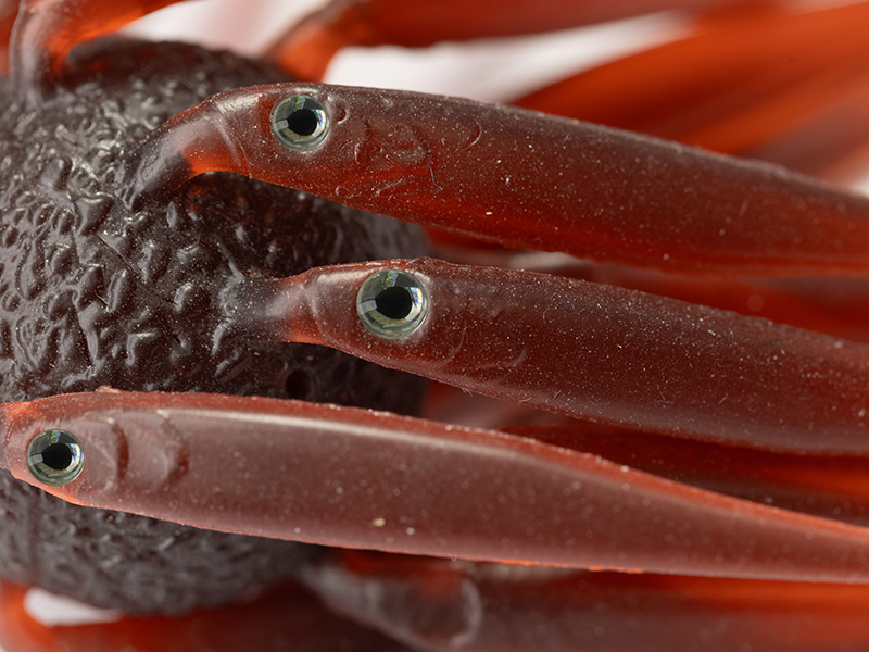 コイケ フィッシュL エラストマー HIDEUP ハイドアップ