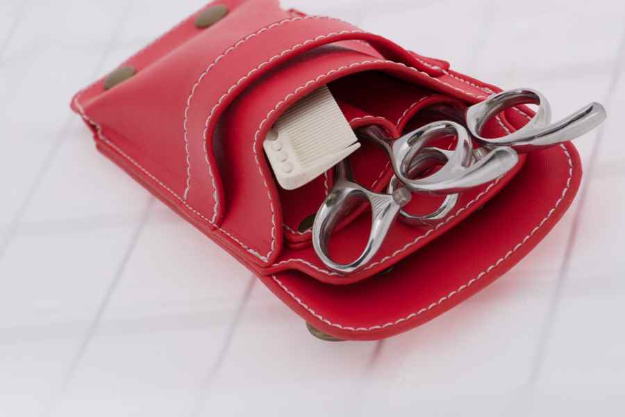 PASSION カザーレス シザーケース 赤 レッド Red｜美容ハサミなら飛燕