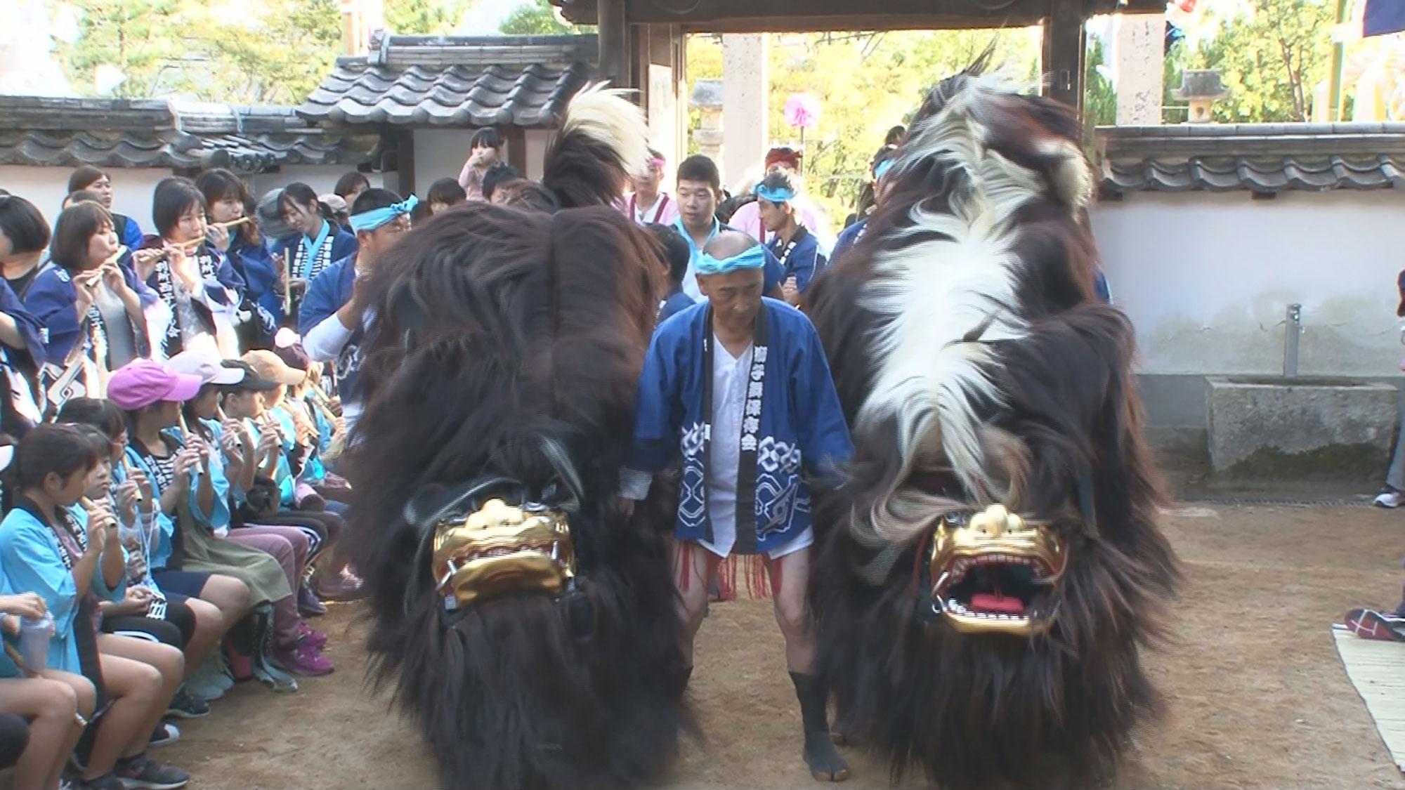 播州秋祭り】播磨を代表する灘のけんか祭りに毛獅子舞など、迫力満点の