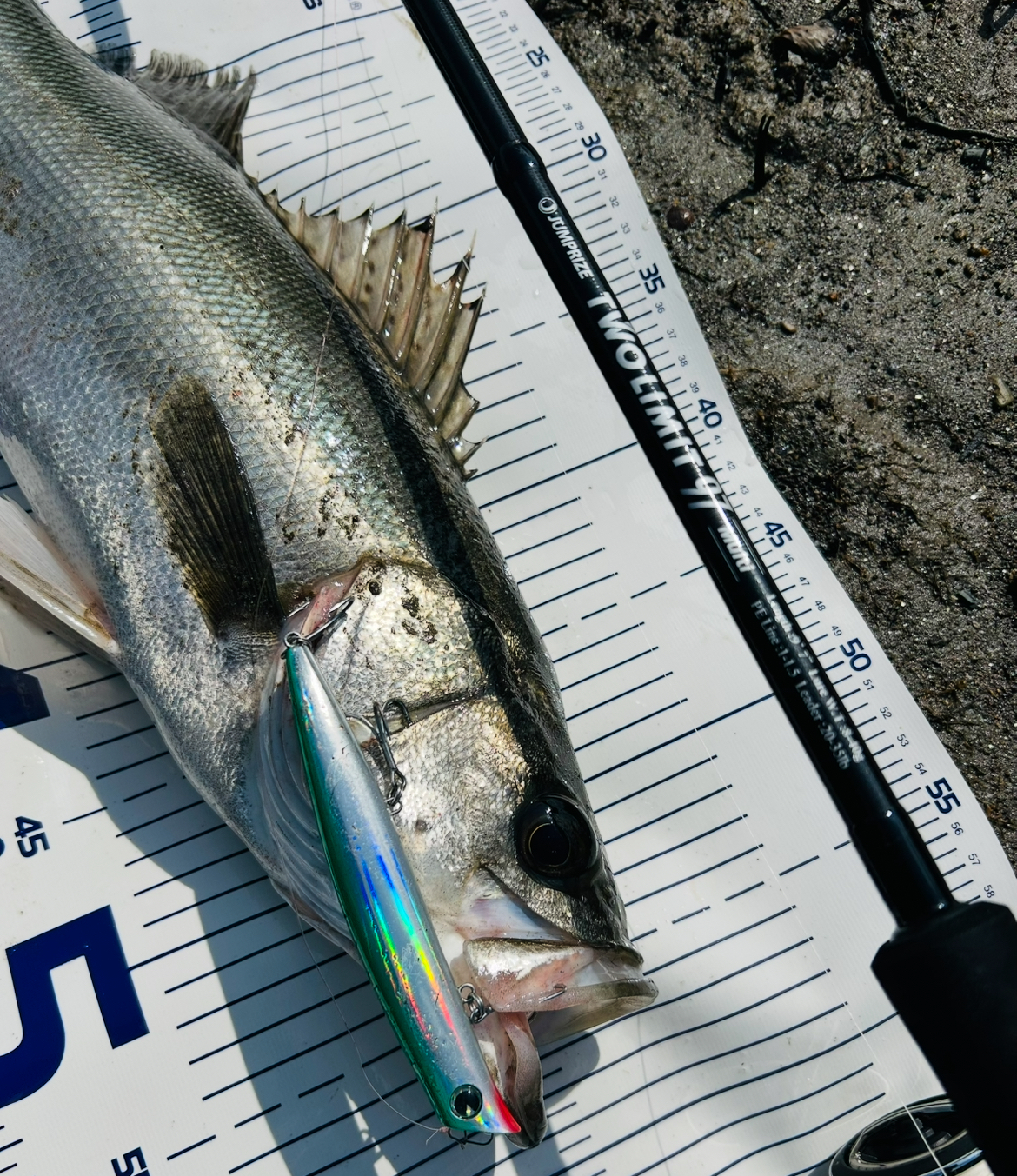 komomo SF-125 / ima - For Your Lush Life.