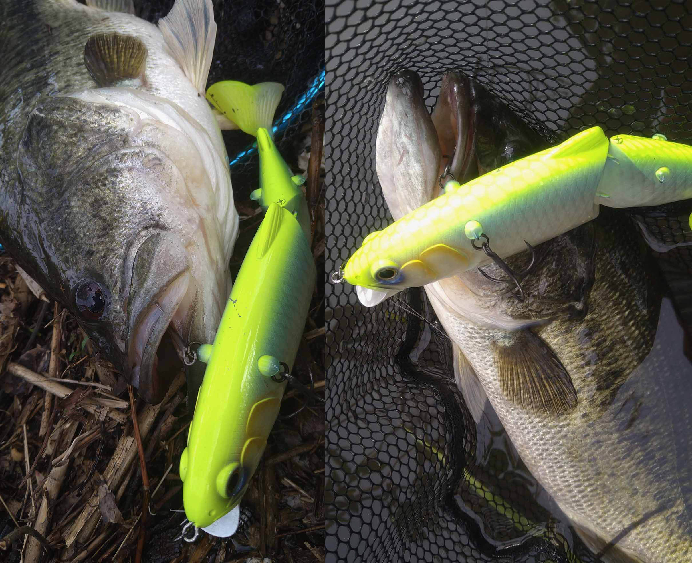 レイジーハードKIシークレット | Top Secret | IMAKATSU