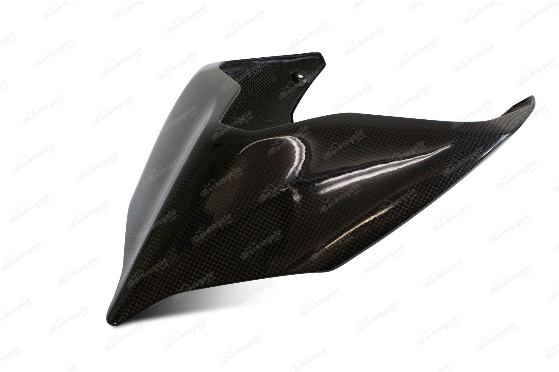 LighTech - ドライカーボン テールカウル (艶あり) PANIGALE V4 / S