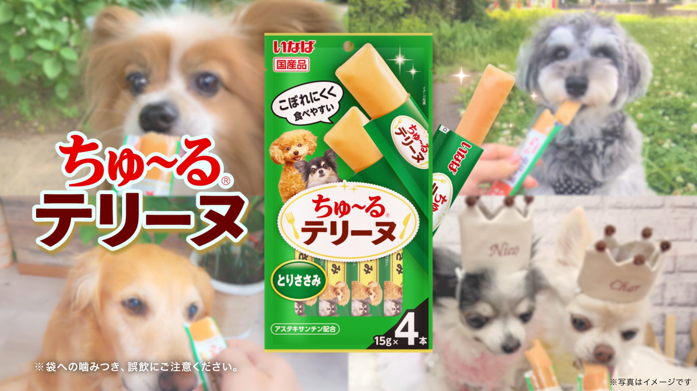 ちゅ〜るテリーヌ | いなばペットフード株式会社