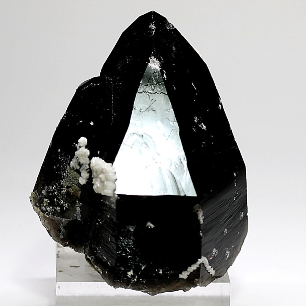 山東省産]フラワーカルサイトオンモリオン原石（天然黒水晶ナチュラル