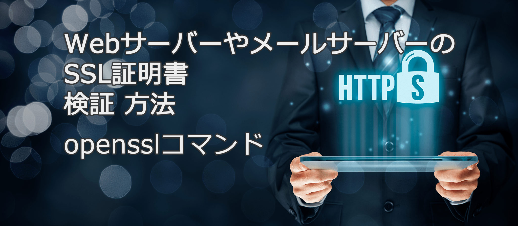WebサーバーなどのSSL証明書 検証方法 – インフォサーカス