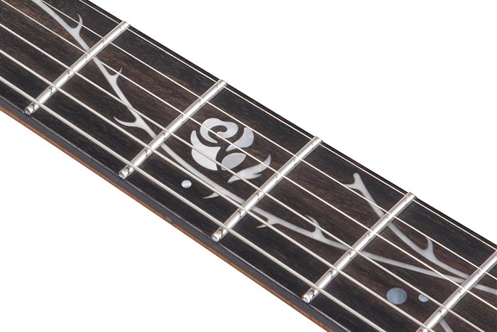 Tim Henson（ティム・ヘンソン）シグネチャー・モデル 