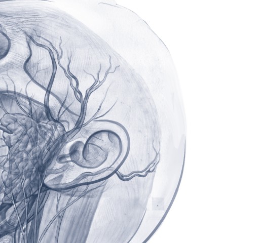 耳鼻咽喉・頭頸部手術アトラス下巻2e_立ち読み