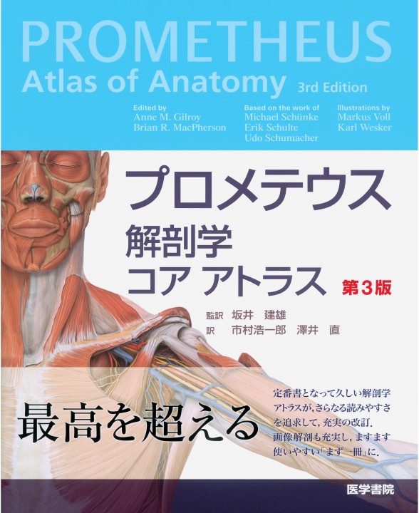 プロメテウス解剖学コアアトラス 第3版』 立ち読み