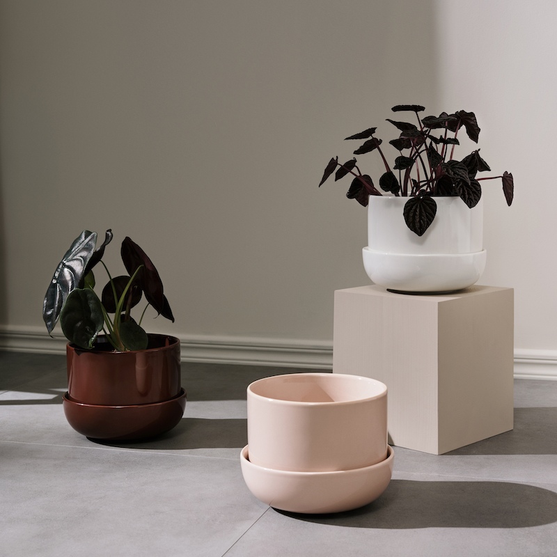 lotta イッタラ ナップラ 2つ ナップラ プラントポット&ソーサー