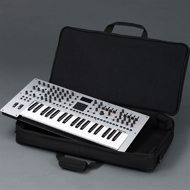 Roland GAIA2+CB-B37 キャリングバッグセット ｜イケベ楽器店