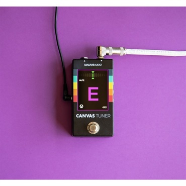 WALRUS AUDIO Canvas Tuner ｜イケベ楽器店オンラインストア