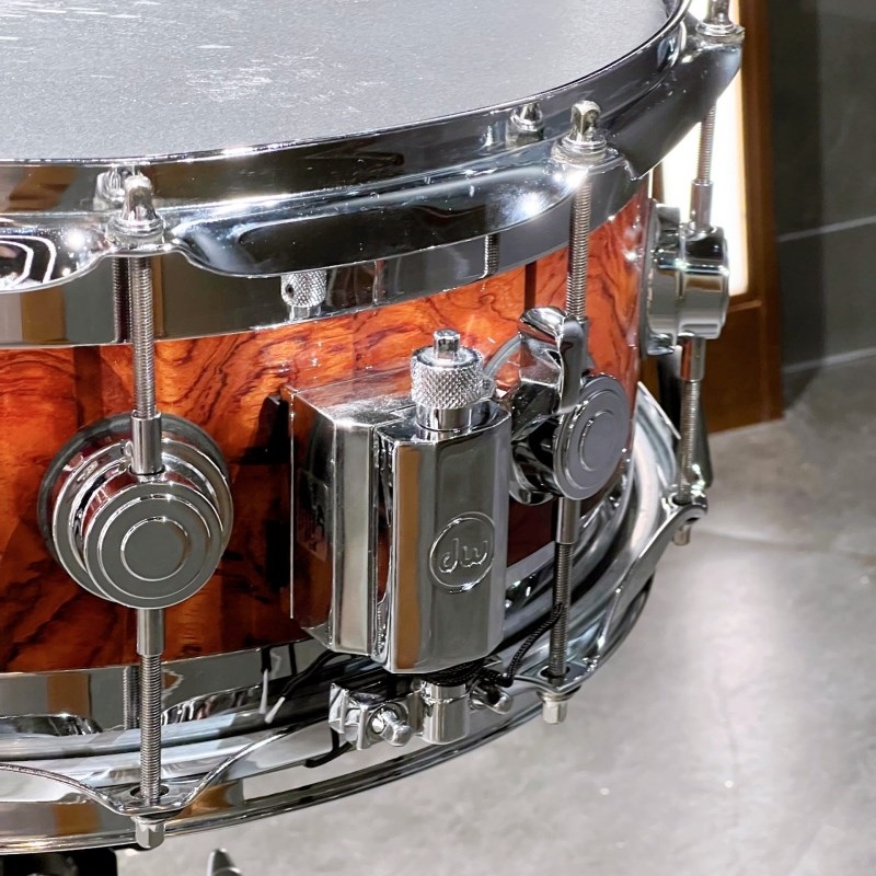 dw USED 中古 Collectors Speciality EDGE 14×6 Snare Drum [Exotic
