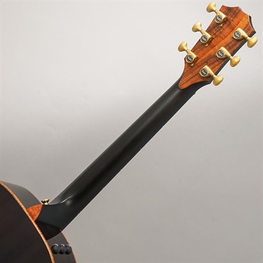 TAYLOR Custom GC Mahogany/ Adirondack spruce [NAMM 2025 Model C12e