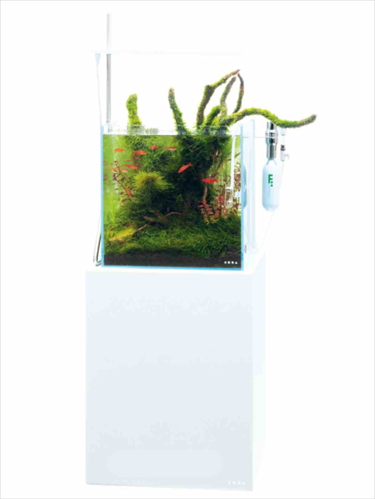 DOOA システムスタンド 35の販売 (アクアマリン熊本)