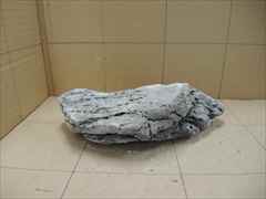 ADA 龍王石の販売(アクアマリン熊本)