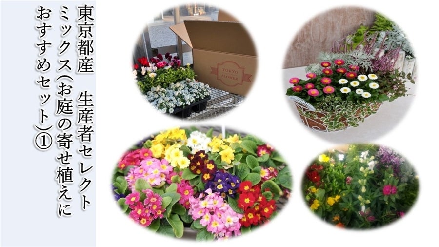東京都産 ①生産者セレクトミックス(お庭の寄せ植えにおすすめセット