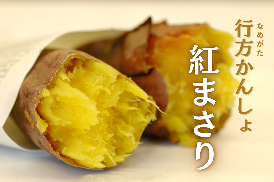 焼き芋にピッタリ！行方かんしょ 茨城県産『紅まさり』AM 約5kg: いい