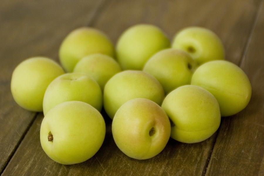 五ヶ所小梅 約5kg 3L(22mm-25mm) JA伊勢 【配送日指定不可】: 三重の味