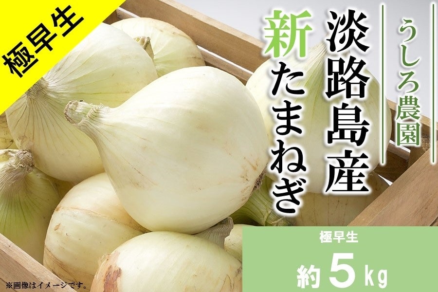極早生】うしろ農園の淡路島産新たまねぎ（約5㎏）: あつめて、兵庫