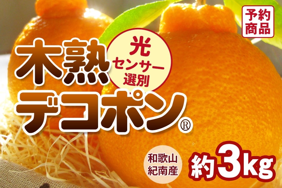 木熟 デコポン 約3kg（10～13玉入り） ＜2月中旬より順次発送＞(紀南