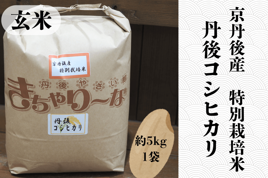 丹後コシヒカリ 特別栽培米 玄米 約5kg: JA全農京都ショップ|【JA