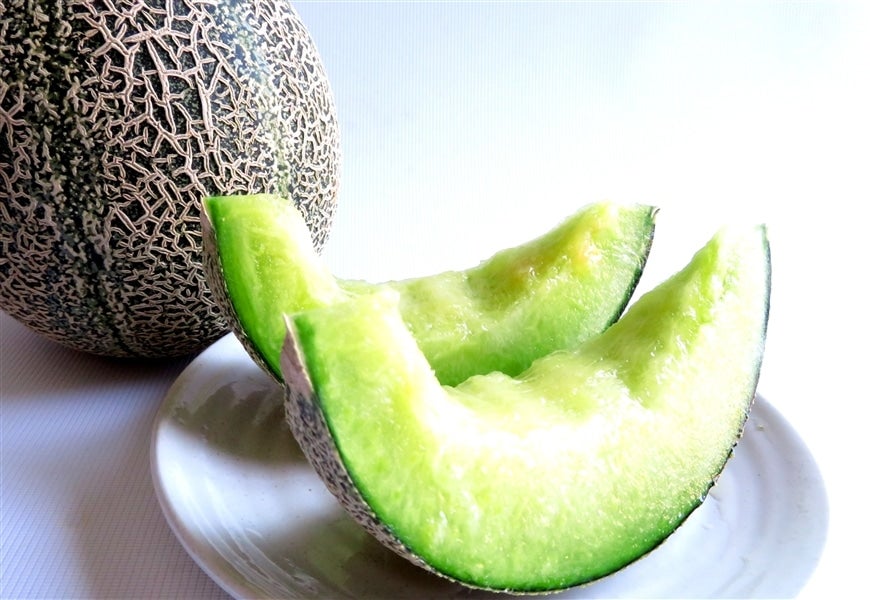 島根県大田市産アムスメロン 『温泉津メロン 5kg』【お中元にも