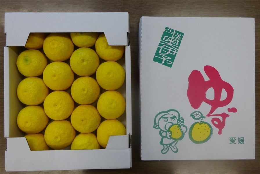 秀・1箱＞「柚子」約2kg（秀L18玉前後） JAひがしうわ 東宇和