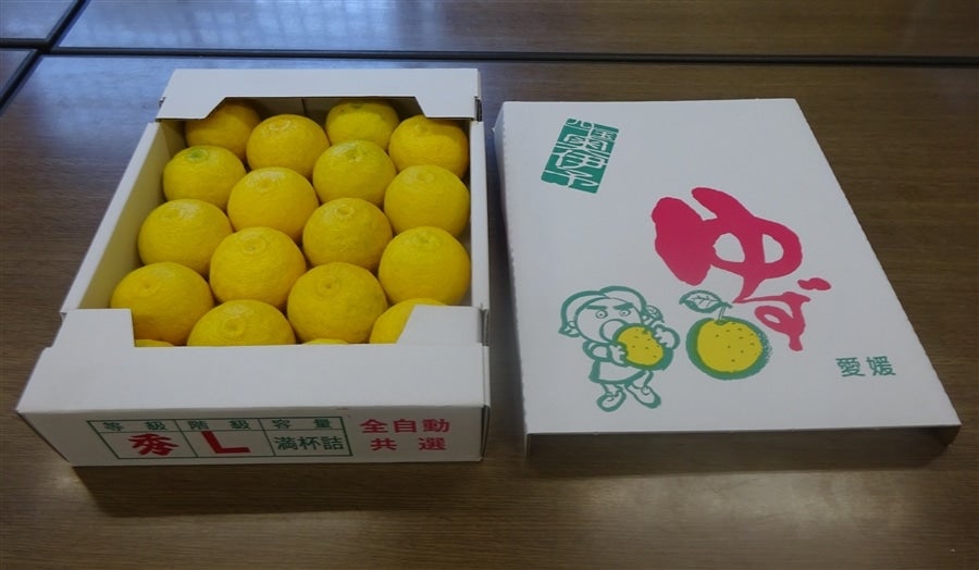 秀・1箱＞「柚子」約2kg（秀L18玉前後） JAひがしうわ 東宇和