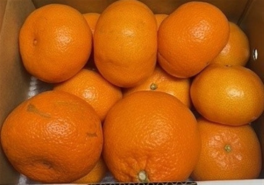 たまみ』（ご家庭用） 約2kg（良以上2S～3Lサイズ混合）愛媛県