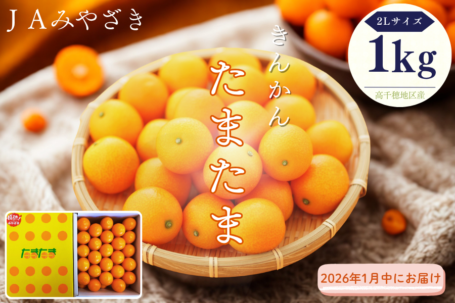 きんかんたまたま 化粧箱1kg（1月中にお届け）: JAみやざき高千穂直販