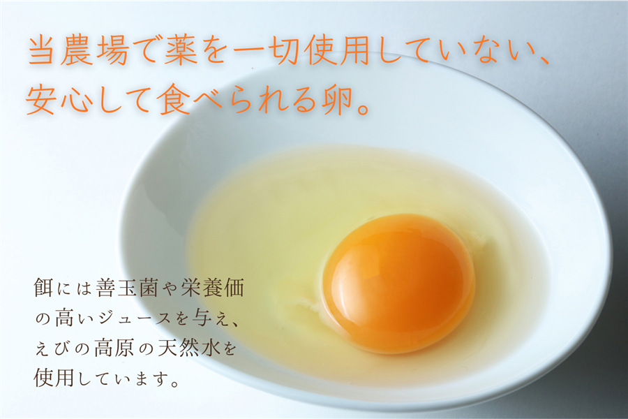 東養鶏場 贈答用50個: JAみやざき Tege Mahalo|【JAタウン】産地直送