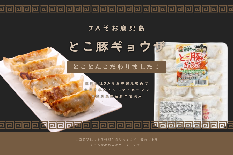 JAそお鹿児島「とこ豚餃子セット」: JA鹿児島県経済連 鹿児島の味