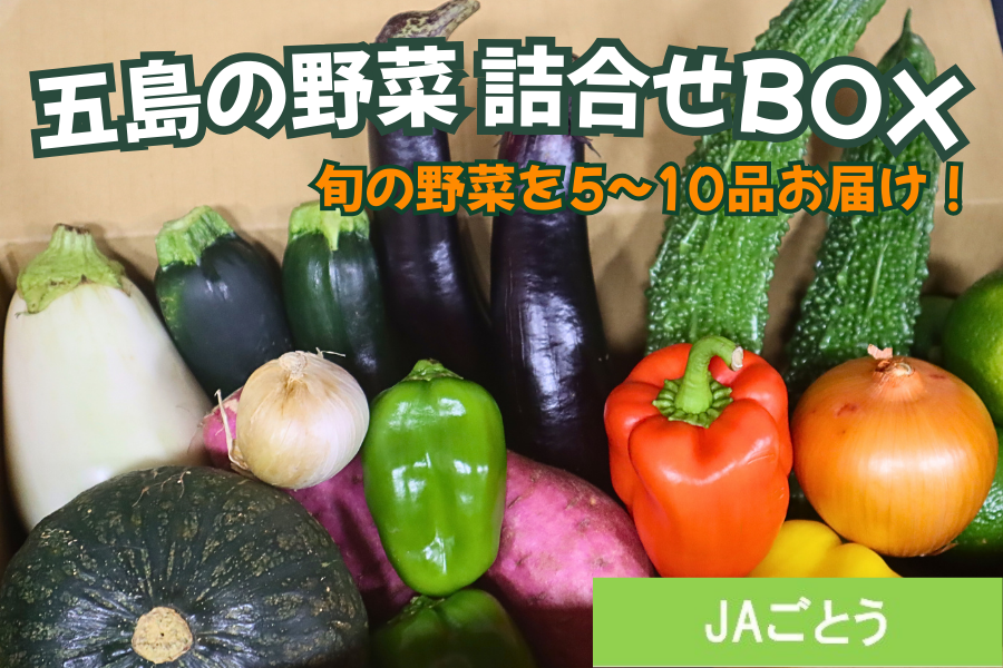 五島の野菜 詰合せBOX（JAごとう）: もぐもぐながさき|【JAタウン