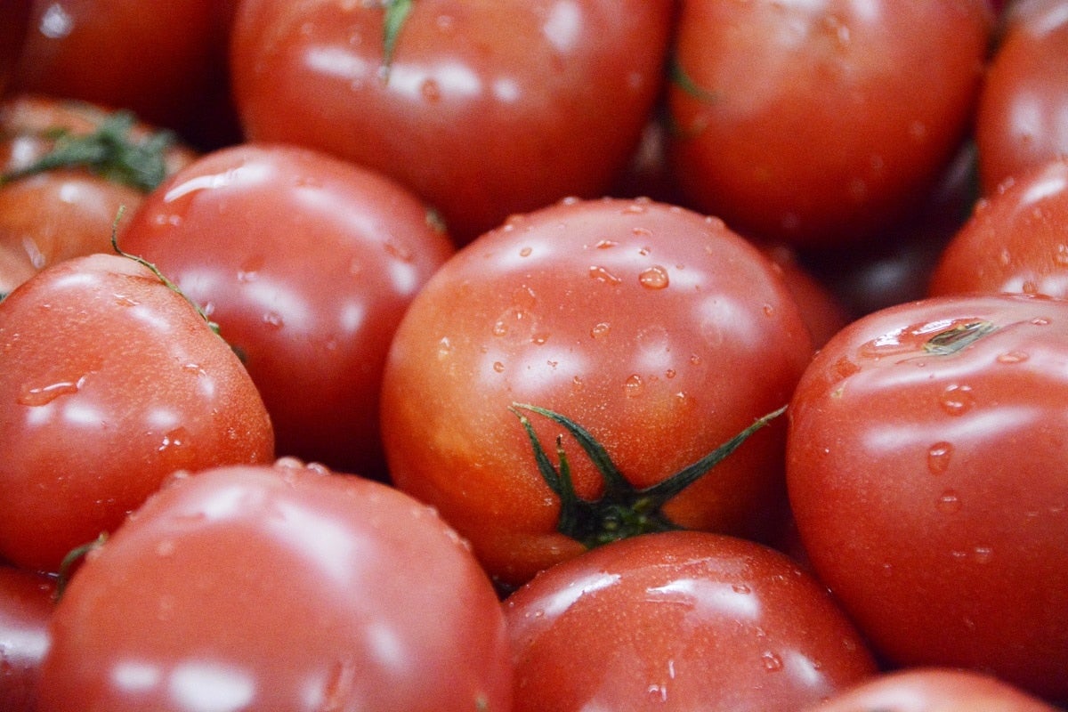 農林水産大臣賞を受賞した「湘南とまと工房」のトマトジュース 10本