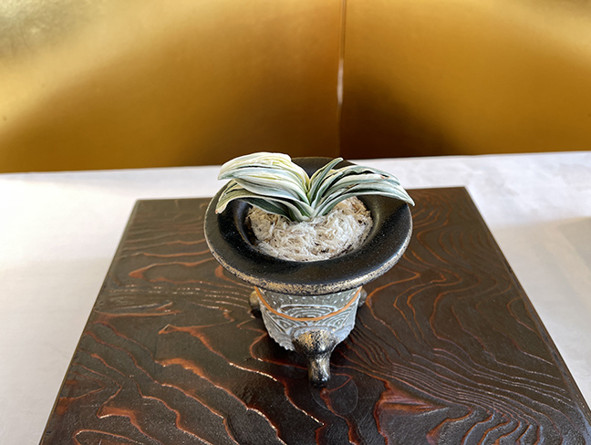 第53回信州おもと美術展 of オモトを楽しむ！