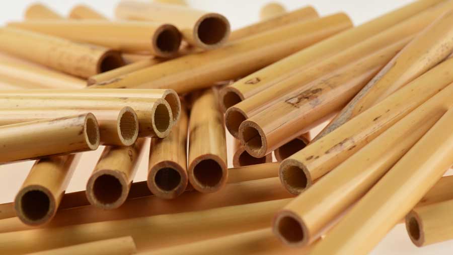 丸材（オーボエ）: Rigotti