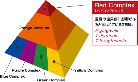 歯周病とは？ - コラム - 藤沢の歯医者「おだがき歯科クリニック」歯周