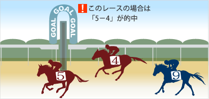 オッズパーク競馬で買えるもの｜利用ガイド｜オッズパーク競馬