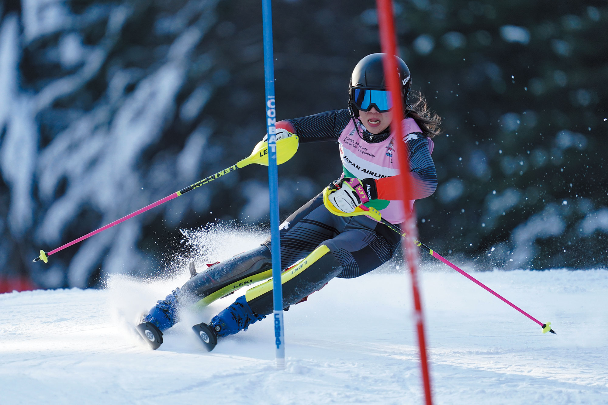 TRIUN SL | OGASAKA SKI