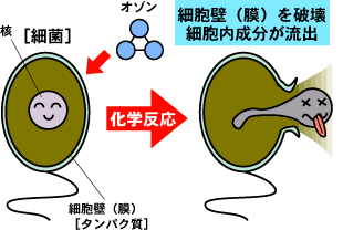 新型コロナウイルスやインフルエンザの予防対策にはオゾン発生器