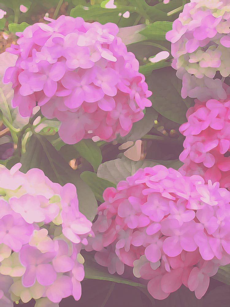 中島千波 素櫻神社の神代櫻(2001年) | 絵画など美術品の販売と買取