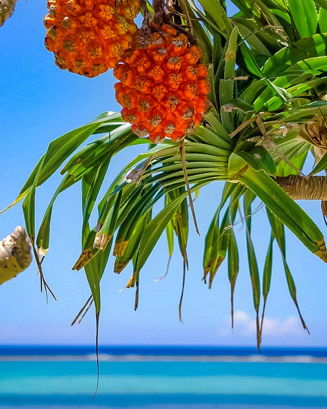 92BCC267-087E-41C4-9009-