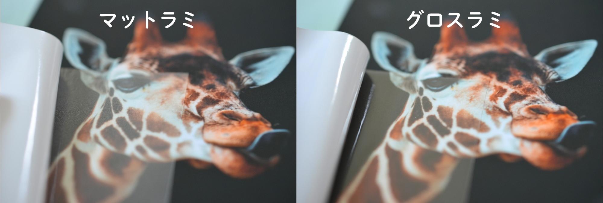 検証】ラミネート加工をすると色味が変わる？ | ポスター印刷のプリオ