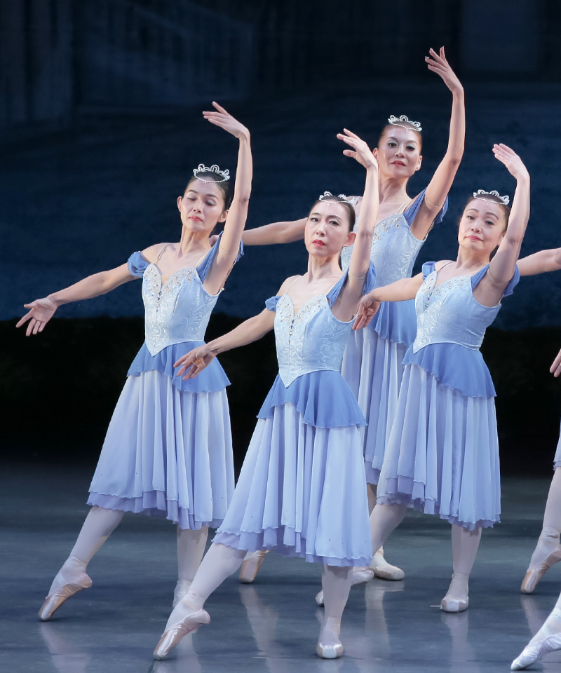 バレエ衣裳/ジュニア ジョーゼット袖付き 7着セット 楽天市場】ジョー