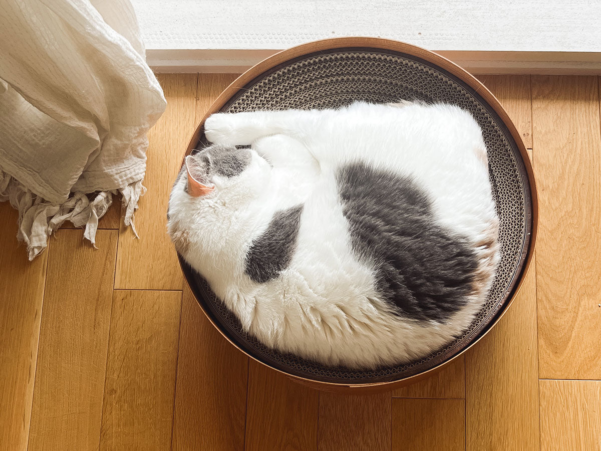 オルネコ・シェーカーネコベッド｜オルネコ（ベッド・ハウス）｜オルネ