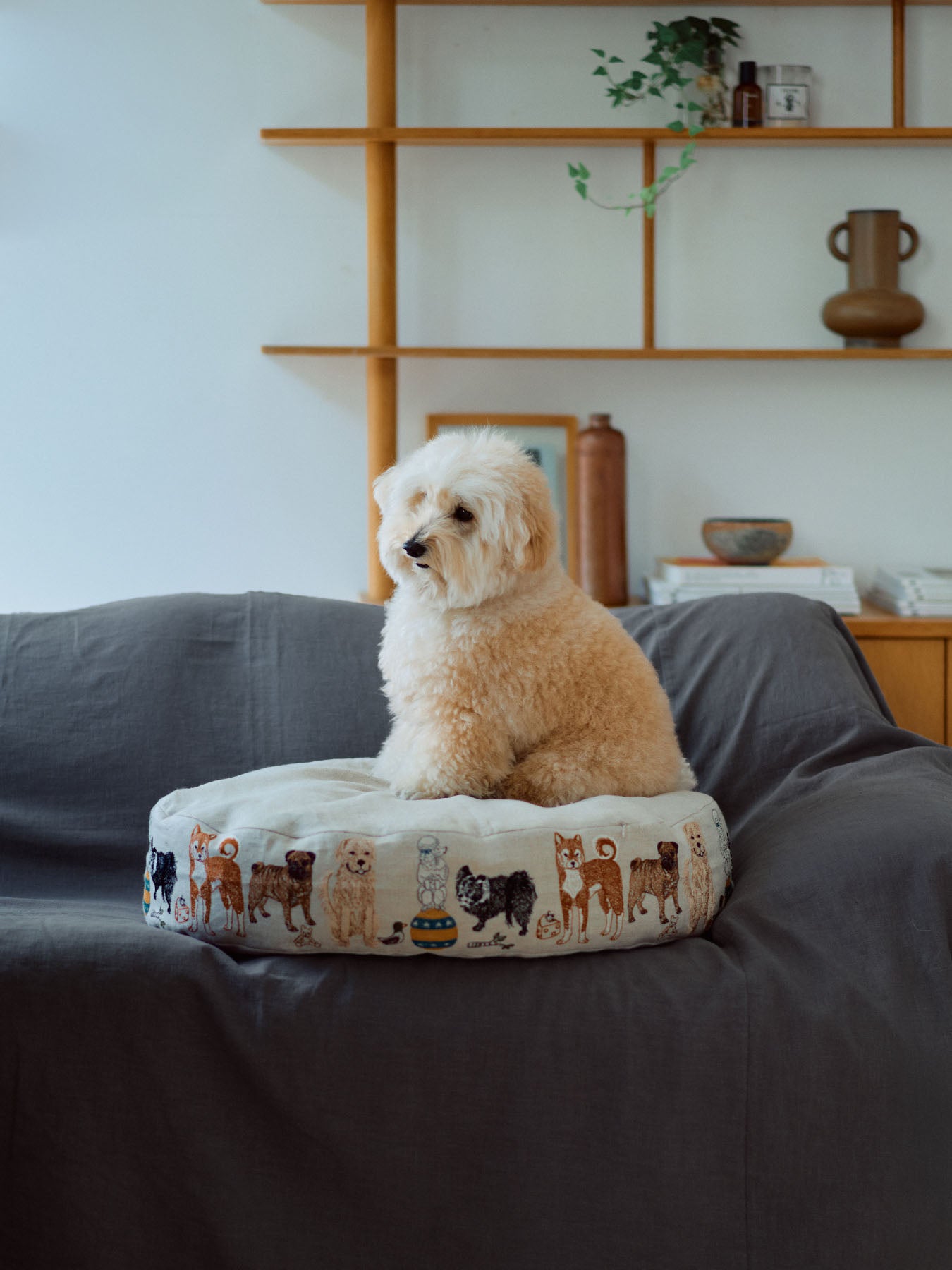 受注販売】Coral & Tusk × Foinu オーバルイヌベッド｜フォイヌ