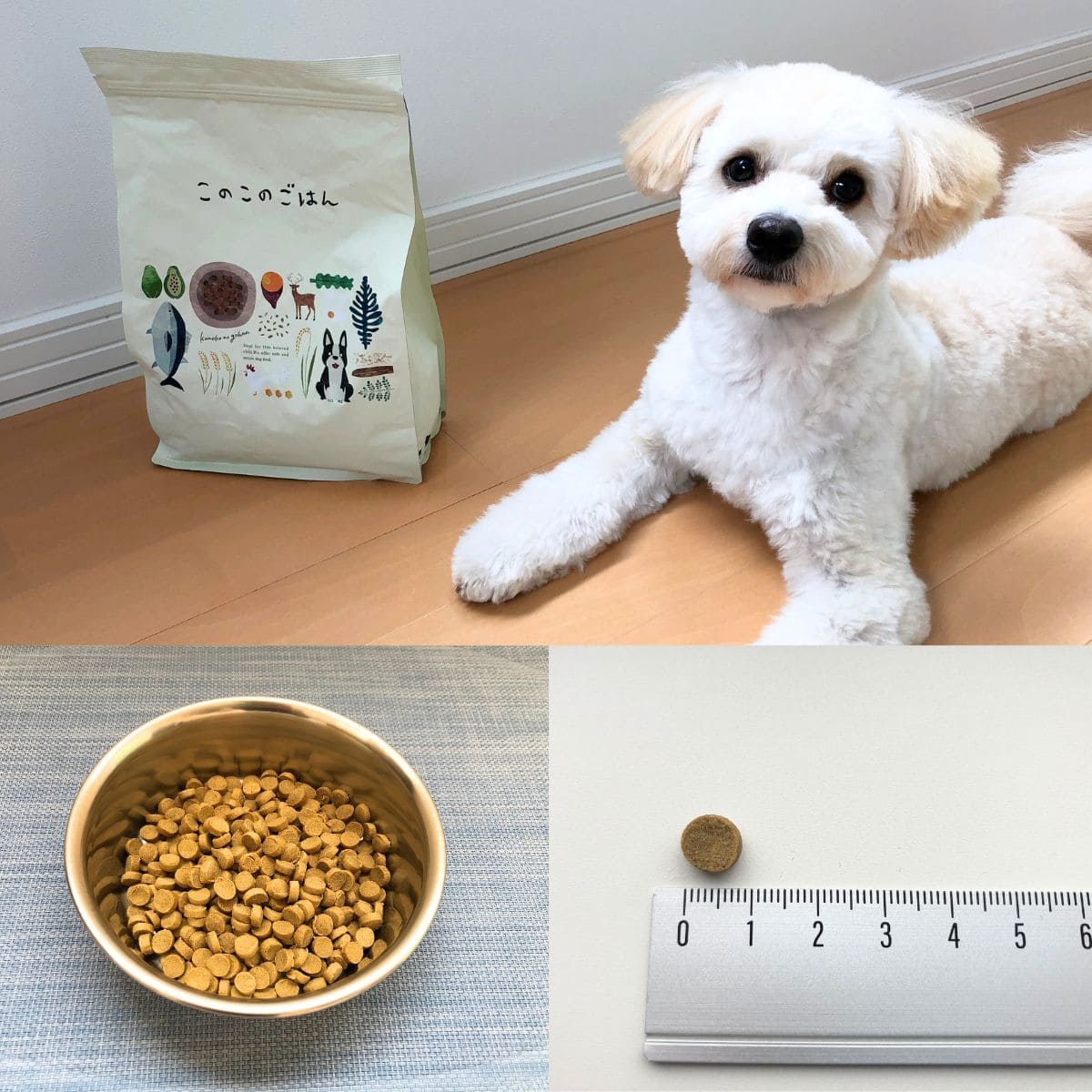 ドッグフード「このこのごはん」のお試しやサンプルはある？最安値で