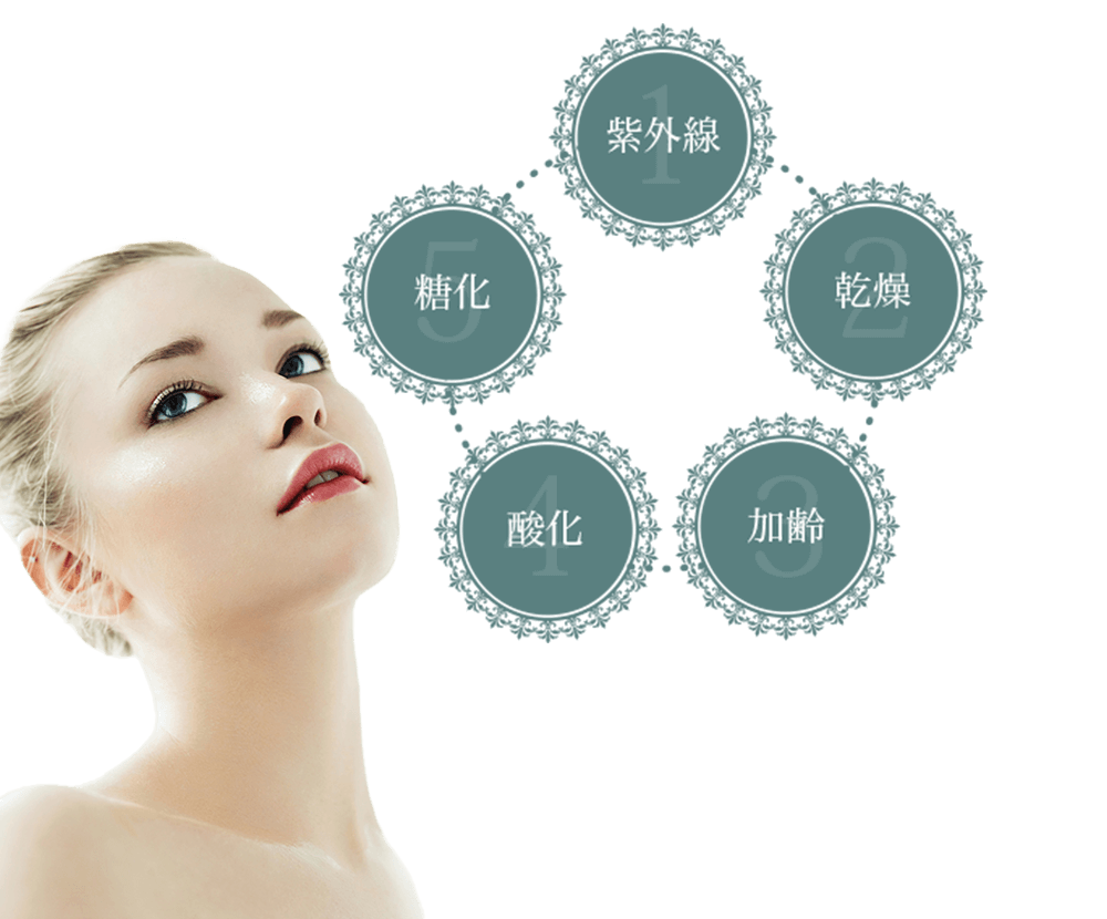 SizeDown Perfect GEL｜超浸透系美容液｜株式会社LeoSizeDesign