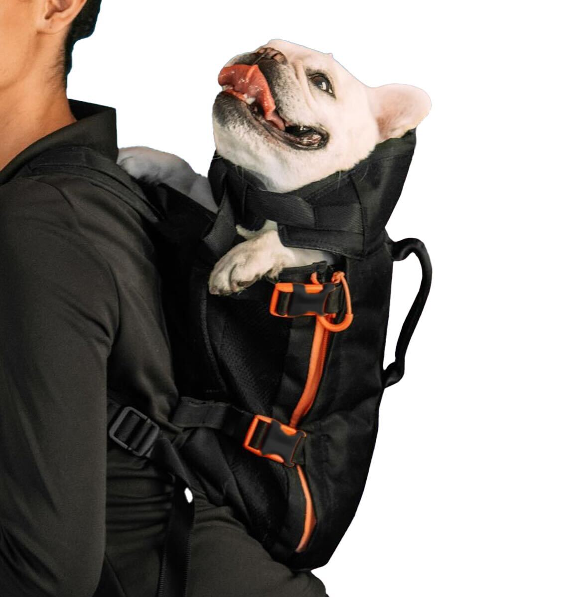 Dog Carrier Backpack - Little Chonk - The Maxine One Bag