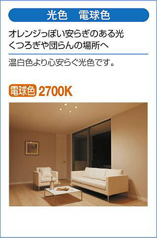 DAIKO 大光電機 ダウンライト(軒下兼用) DDL-6104YW | 商品紹介 | 照明